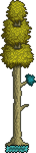 Tree (Hallow).png