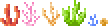 Coral (placed).png