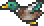 Mallard Duck (flying).png