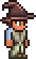 Wizard Hat (equipped).png