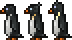 Penguin black 2.png