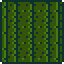 Cactus Wall (placed).png
