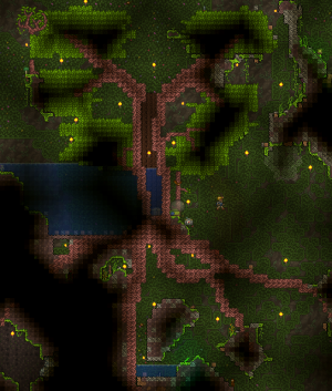 生命红木树 - Terraria Wiki