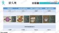 雪砂坐骑图鉴 165.jpg