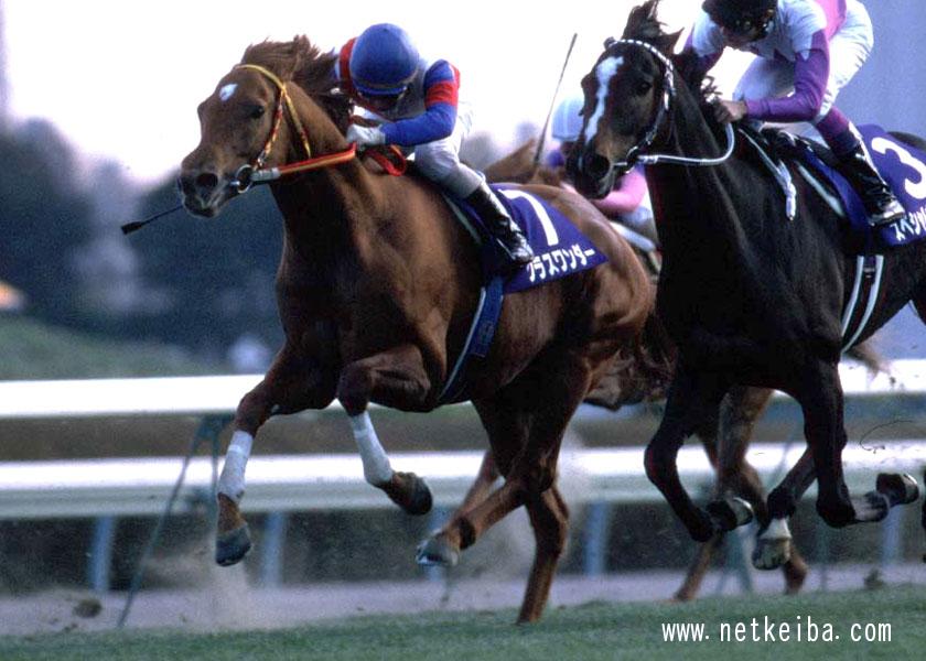 史实比赛-1999年有马纪念-同时撞线的小草和小特.jpg