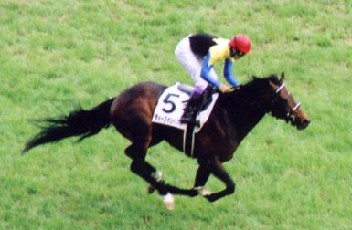 Deep Impact Japanese Derby.jpg