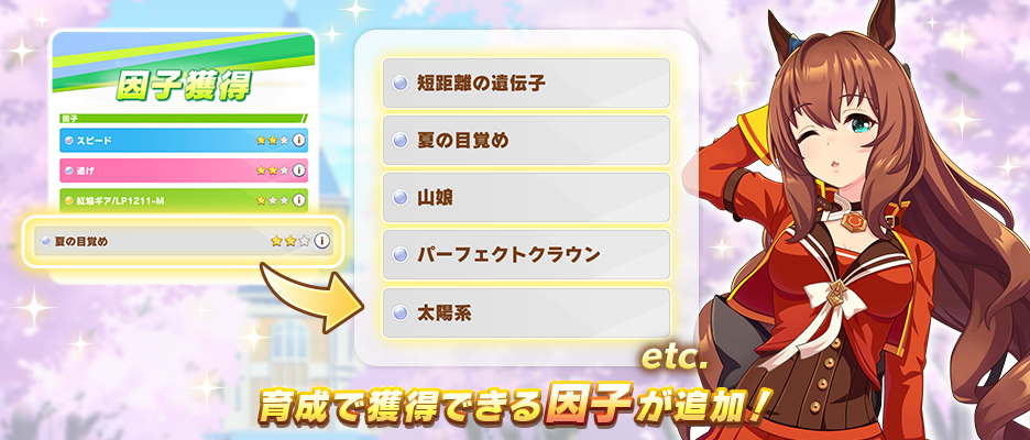 Banner 212600014.png