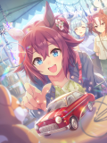 Tex support card 30300.png