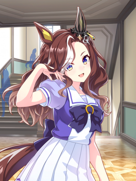 文件:Tex support card 10121.png