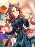 Tex support card 30285.png