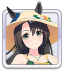 Chr icon 1088 108802 01.png