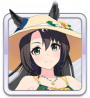 Chr icon 1088 108802 01.png