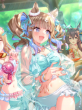 Tex support card 30308.png