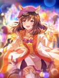 Tex support card 30250.png