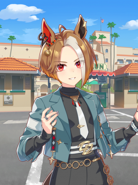 文件:Tex support card 10141.png