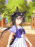 Tex support card 10132.png