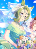 Tex support card 30255.png
