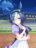 Tex support card 10133.png