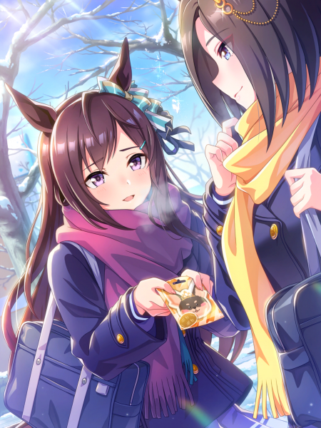 文件:Tex support card 20093.png