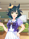 Tex support card 10145.png