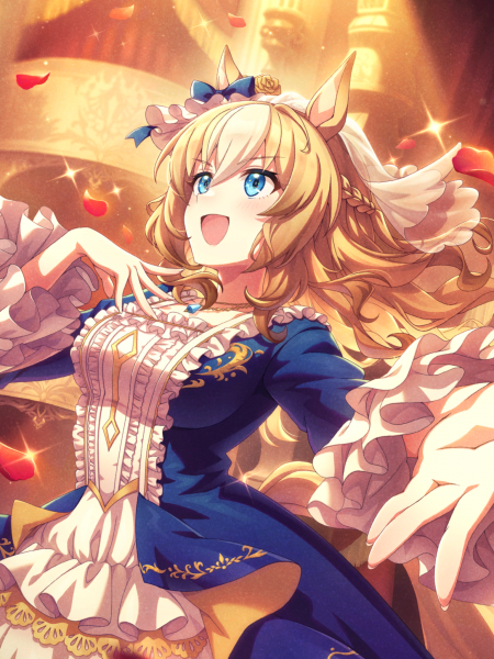 文件:Tex support card 30268.png