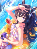 Tex support card 30263.png