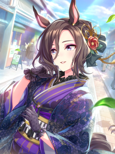 文件:Tex support card 30282.png