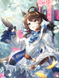 Tex support card 30248.png