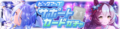 Gacha banner 30229.png