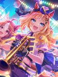 Tex support card 30251.png
