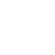 Neon e.png