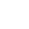 Phoenix q.png