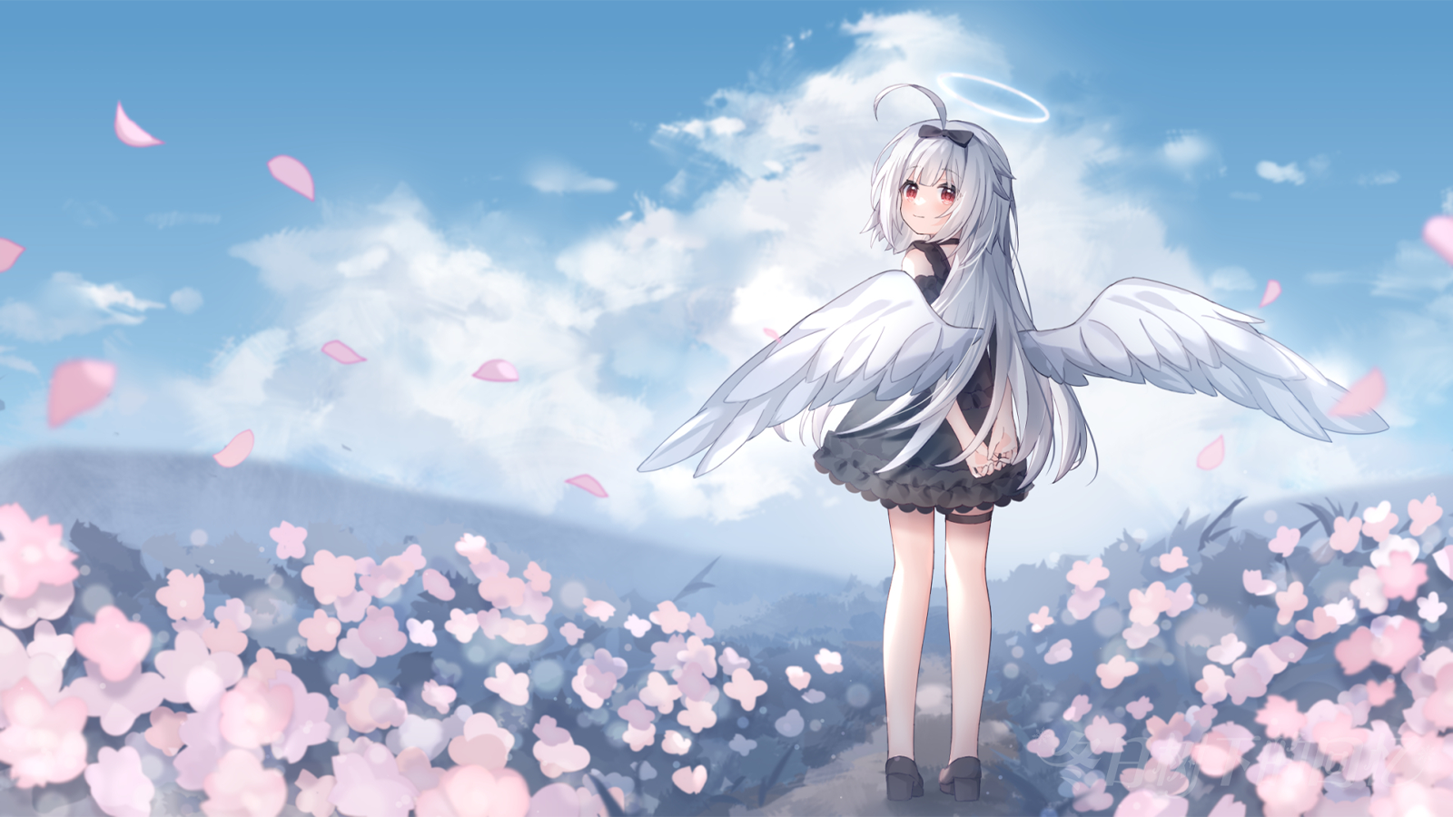 User 3546930661558825 BG.png