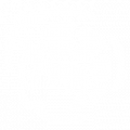 Gekko e.png