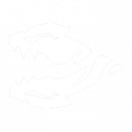 Fade c.png