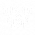 Fade x.png