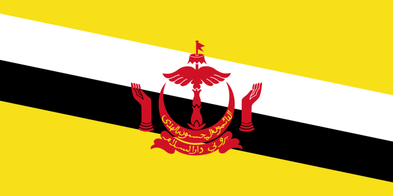 文件:Flag of Brunei.svg