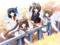 User 7907840 BG.png