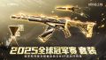 海报 2025 武器套装 2025全球冠军赛.jpg
