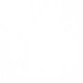 Gekko x.png