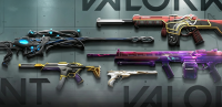 Portal Weapon.jpg