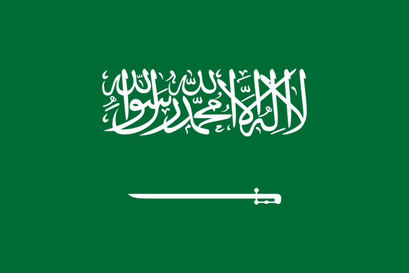 文件:Flag of Saudi.svg