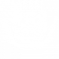 Gekko c.png