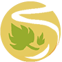 图标 季节 夏火年.png
