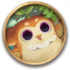 头像-普吉SP.png