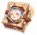 技能书-辉照之圣使.png