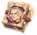 技能书-权谋智王.png