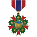 Cn victorious garrison medal a1 big.png