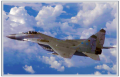 Cs gr mig29g.png