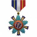 Cn brilliant light medal a1 big.png